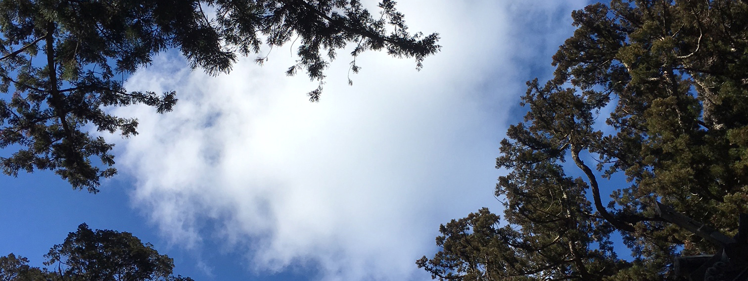 出展様子の画像/